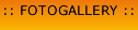 :: fotogallery ::